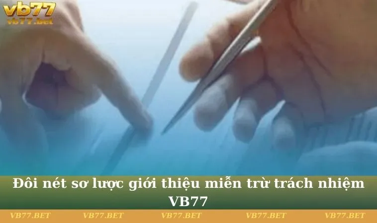 Đôi nét sơ lược giới thiệu miễn trừ trách nhiệm VB77