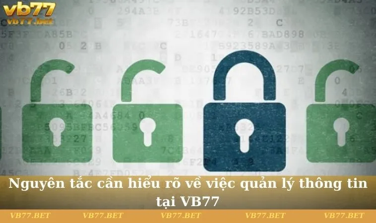 Nguyên tắc cần hiểu rõ về việc quản lý thông tin tại VB77